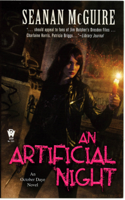 book cover for An Artificial Night