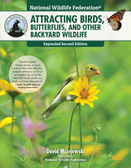 book cover for Attracting Birds, Butterflies, and Other Backyard Wildlife, Expanded Second Edition