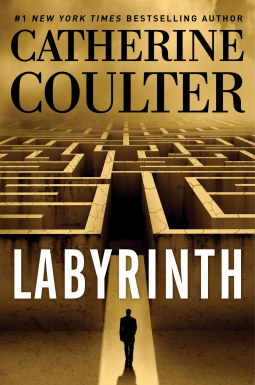 book cover for Labyrinth