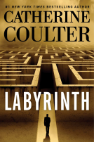 book cover for Labyrinth