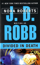 book cover for Divided in Death