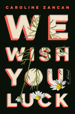 book cover for We Wish You Luck