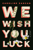 book cover for We Wish You Luck