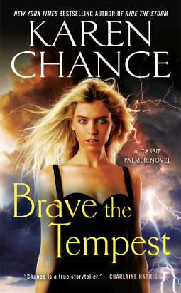 book cover for Brave the Tempest