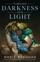 book cover for Turning Darkness Into Light