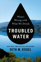 book cover for Troubled Water