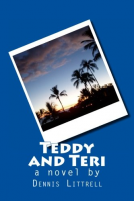 book cover for Teddy and Teri