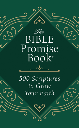 book cover for The Bible Promise Book: 500 Scriptures to Grow Your Faith