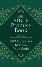 book cover for The Bible Promise Book: 500 Scriptures to Grow Your Faith