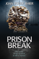 book cover for Prison Break