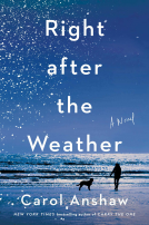 book cover for Right after the Weather