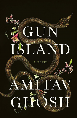 book cover for Gun Island