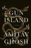 Cover Image: Gun Island