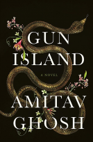 book cover for Gun Island