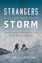 book cover for Strangers in the Storm