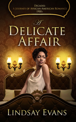book cover for A Delicate Affair