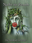 book cover for Nadir To Zenith