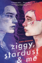 book cover for Ziggy, Stardust and Me