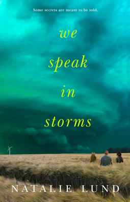 book cover for We Speak in Storms
