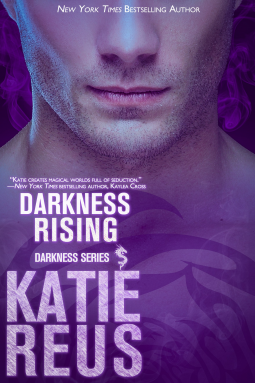 book cover for Darkness Rising