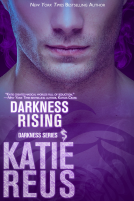 book cover for Darkness Rising