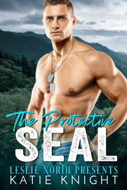 book cover for The Protective SEAL
