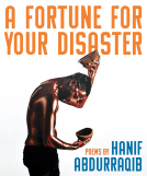 book cover for A Fortune for Your Disaster