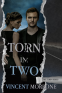 Cover Image: Torn in Two