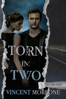 book cover for Torn in Two