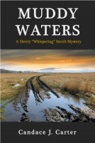 book cover for Muddy Waters
