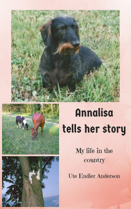 book cover for Annalisa tells her story