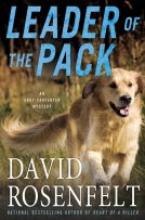 book cover for Leader of the Pack