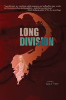 book cover for Long Division