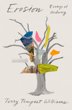 book cover for Erosion