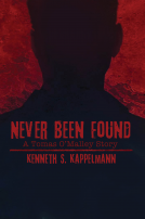 book cover for Never Been Found
