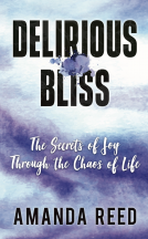 book cover for Delirious Bliss