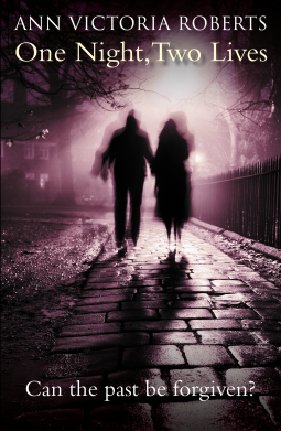 book cover for One Night, Two Lives