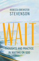 book cover for Wait