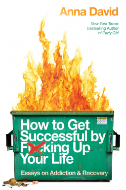 book cover for How to Get Successful by F*cking Up Your Life