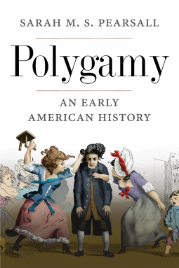book cover for Polygamy