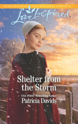 book cover for Shelter from the Storm