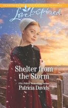 book cover for Shelter from the Storm
