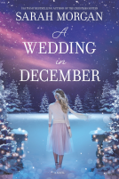 book cover for A Wedding in December