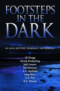 book cover for Footsteps in the Dark