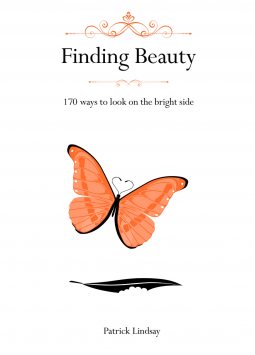 book cover for Finding Beauty