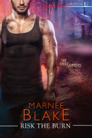book cover for Risk the Burn