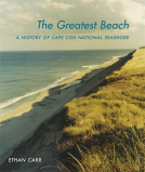 book cover for The Greatest Beach