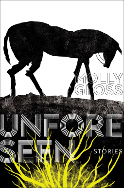 book cover for Unforeseen