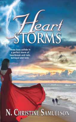 book cover for Heart Storms