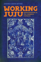 book cover for Working Juju